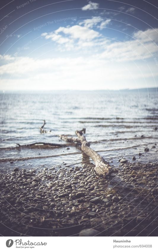 driftwood Vacation & Travel Trip Freedom Sun Hiking Environment Nature Landscape Elements Air Water Sky Clouds Sunlight Beautiful weather Lake Germany Stone