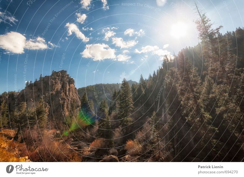 mountain air Environment Nature Landscape Plant Elements Air Sky Clouds Summer Weather Beautiful weather Tree Forest Mountain Adventure Loneliness Uniqueness