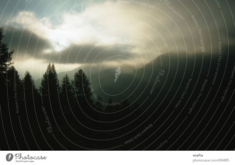 weather change Light Clouds Tree Turnaround Shadow Mountain Sky Landscape Sun Weather Alps