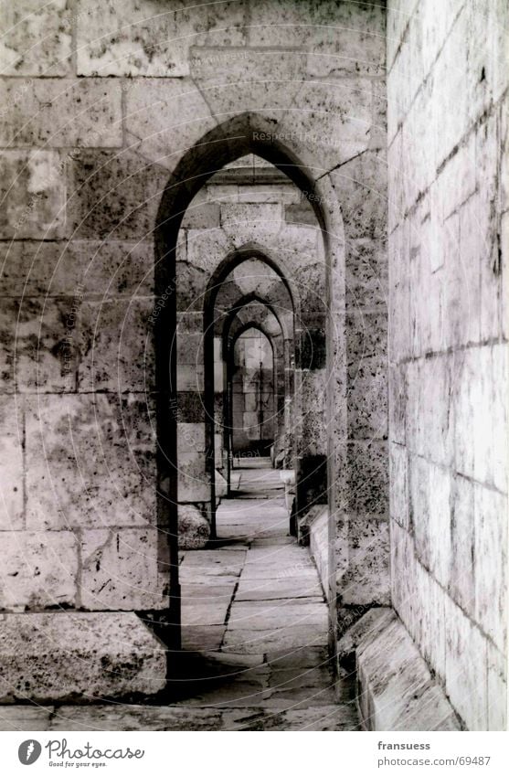 Regensburg Religion and faith Dome Regensburg Cathedral St. Peter black-white Wall (barrier) Old Corridor