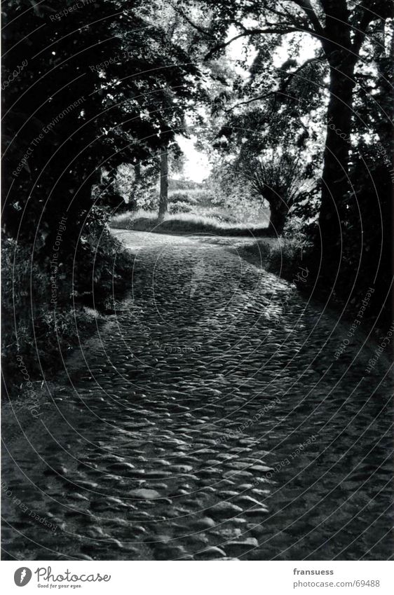 szarejki Romance Poland Masuria Street Cobblestones Old Black & white photo bumpy