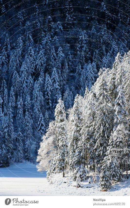 winter wonderland Relaxation Meditation Winter Snow Winter vacation Mountain Hiking Landscape Ice Frost Forest Alps Lake Exceptional Blue White Happy