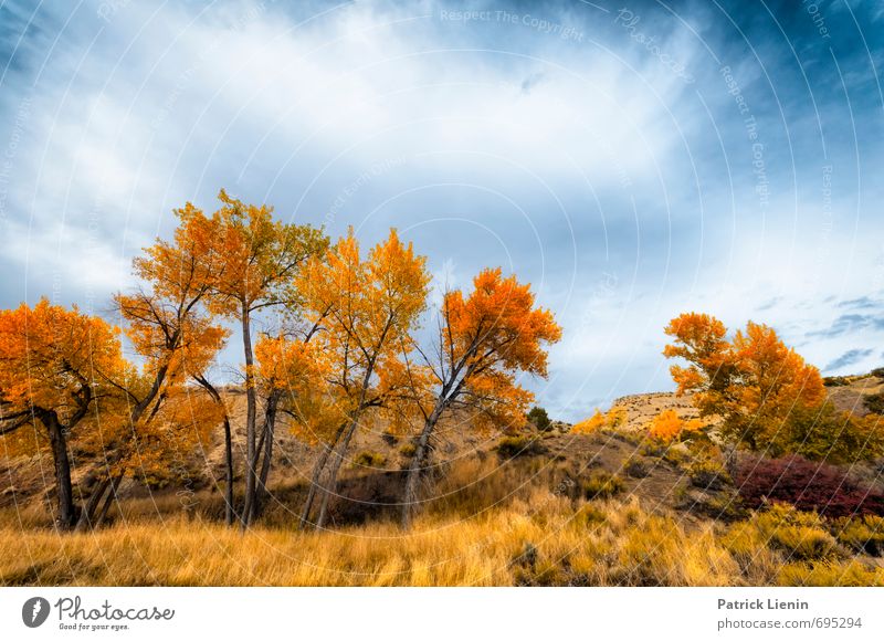 autumn colours Well-being Contentment Senses Relaxation Calm Meditation Tourism Trip Adventure Far-off places Freedom Environment Nature Landscape Elements Sky