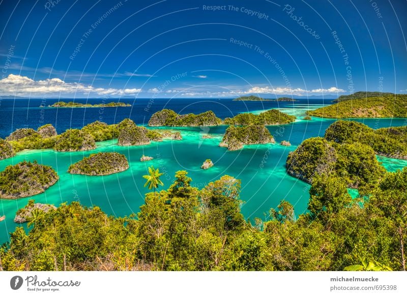 Fam Islands, Raja Ampat, Indonesia Vacation & Travel Tourism Trip Far-off places Ocean Environment Nature Landscape Plant Water Horizon Beautiful weather Bay