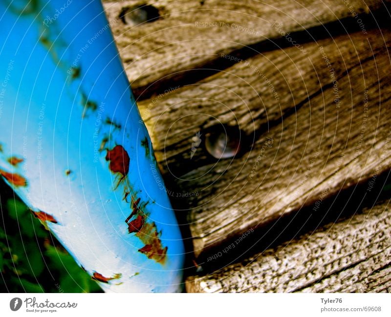 rusty bench Wood Light brown Rust Bench Blue Derelict Wood grain Crack & Rip & Tear