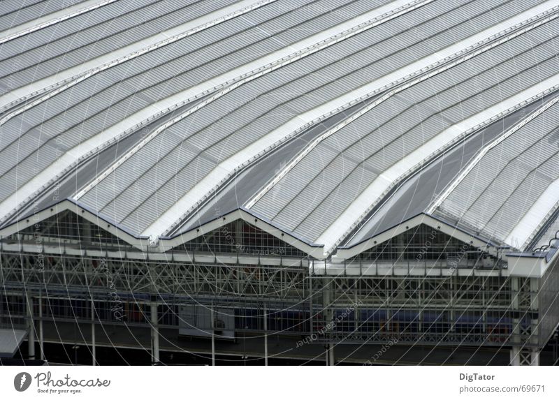 Station in London Roof Monochrome Bird's-eye view Gray Gloomy Cold Warehouse Structures and shapes