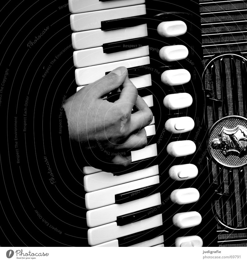 Music 4 Accordion Sound Rhythm Hand Black Musical instrument Contrast hand harmonica hand pull instrument goat organ hand organ