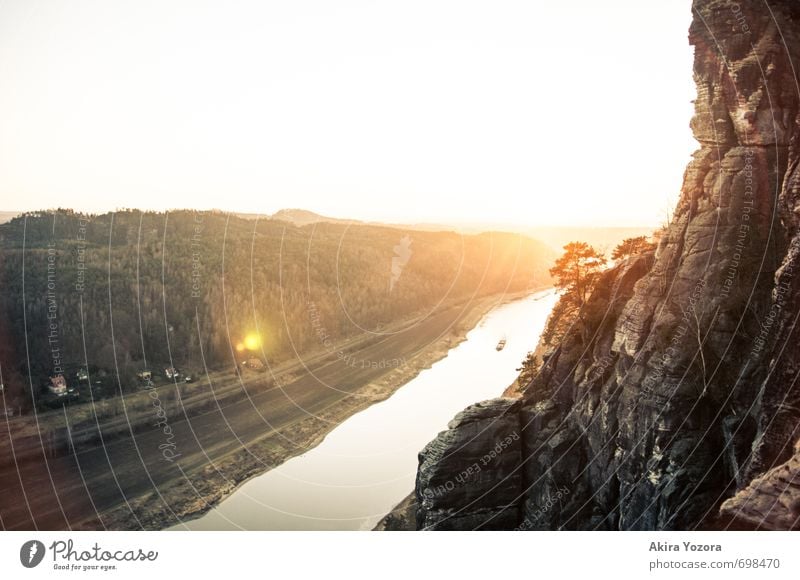 The golden Sun Nature Landscape Sunrise Sunset Sunlight Beautiful weather Tree Rock Mountain River Elbe Saxon Switzerland Observe Discover Illuminate Growth