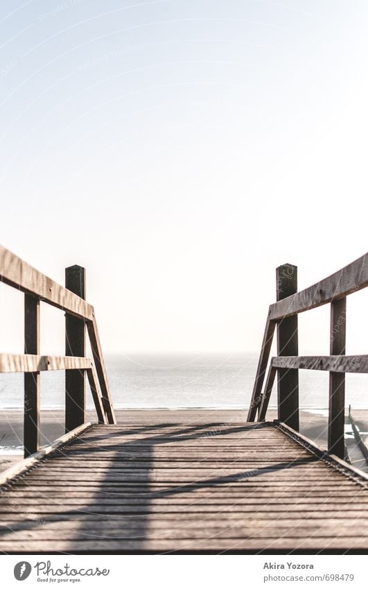 sea in sight Sky Cloudless sky Horizon Beautiful weather Beach Ocean Observe Discover Looking Blue Brown White Relaxation Idyll Vacation & Travel Calm