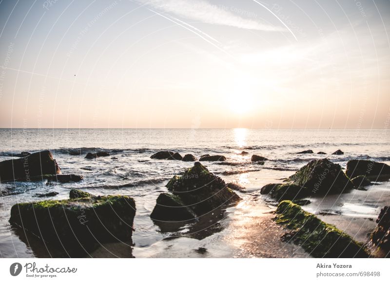 At the Blue Heart III Nature Landscape Sand Water Sky Clouds Horizon Waves Coast Beach North Sea Ocean Stone Observe Touch Movement Relaxation Green Orange