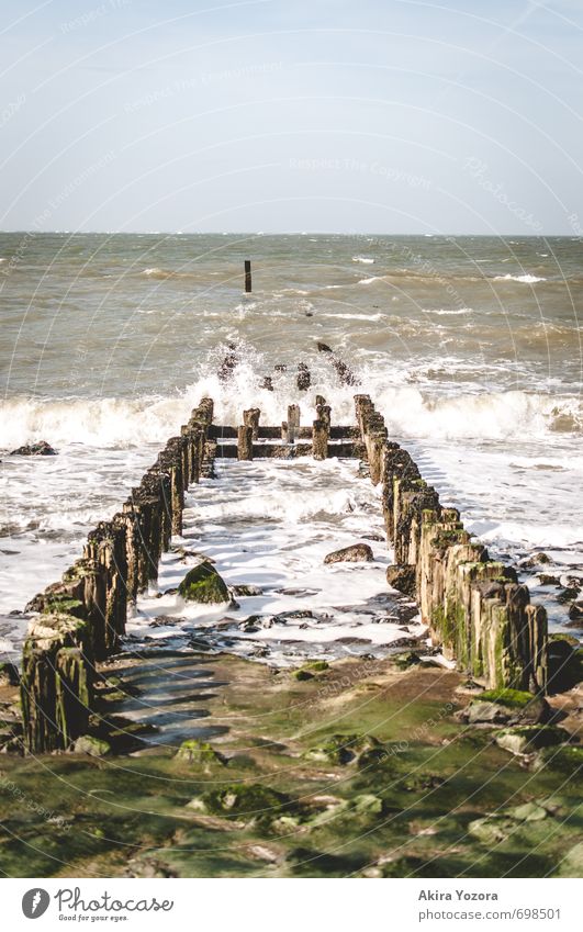 Stormy sea Water Sky Weather Wind Waves Coast North Sea Ocean Touch Movement Romp Cold Wet Blue Brown Green White Nature Colour photo Exterior shot Deserted