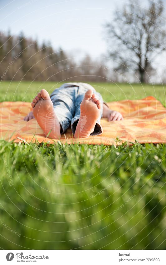 spring feet Trip Human being Masculine Hand Fingers Feet Sole of the foot Toes Nature Spring Beautiful weather Tree Grass Meadow Jeans Blanket picnic blanket