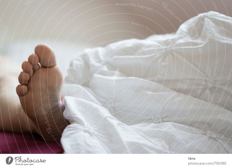 sunday morning Bed Feet Lie Sleep White Bedclothes late riser Looking