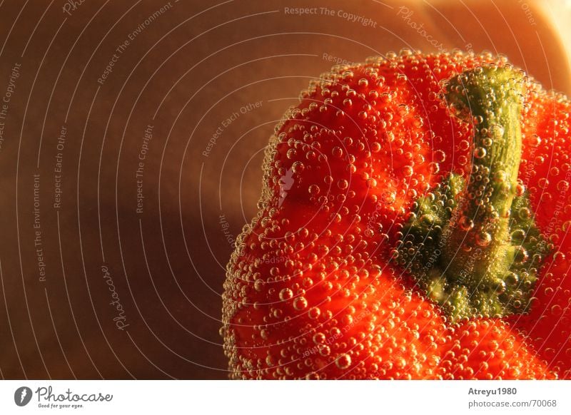 Paprika II Pepper Cooking Green Red Oxygen Healthy Vitamin Fresh Vegetable atreyu Underwater photo