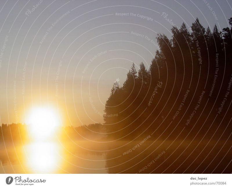 Mururoa_Atoll_1 Forest Lake Finland Morning Reflection Dazzle Dark Yellow Loneliness Hope Physics Clouds Tree Back-light Progress Fog Silhouette Sun Stairs