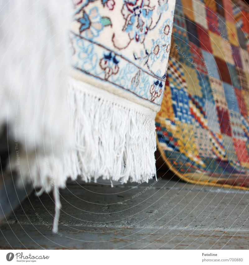 Orient Luxury Style Design Living or residing Decoration Bright Soft Multicoloured Carpet Rug fringe Carpet store Oriental carpet Colour photo Detail Pattern