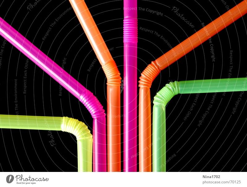 colorful straws Multicoloured Dark Still Life Blade of grass Dark background Line Funny