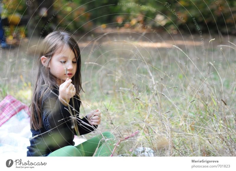 Happy autumn day Joy Playing Adventure Child Body 1 Human being 3 - 8 years Infancy To enjoy Looking Free Happiness Beautiful Small Natural Soft Brown