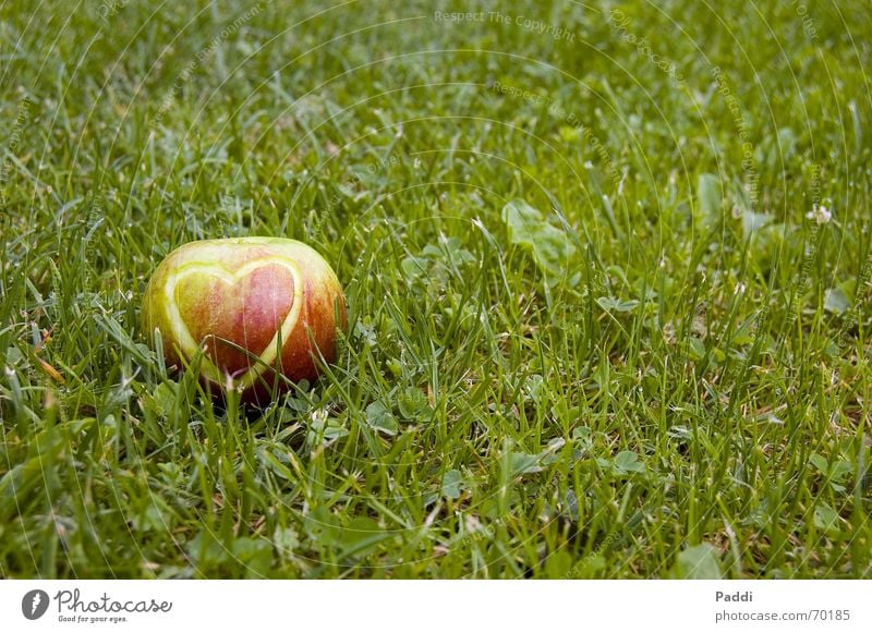 heart apple Grass Emotions Meadow Apple skin Heart Love