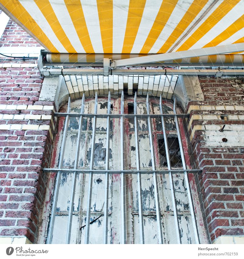 cocooning Antwerp Belgium Town Old town House (Residential Structure) Manmade structures Building Wall (barrier) Wall (building) Facade Window