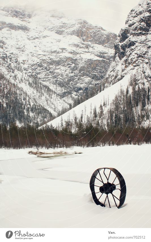 You out of your mind? Nature Landscape Sky Clouds Winter Fog Snow Plant Tree Rock Mountain Dolomites Lakeside Wheel Wheel rim Cold White Dreary Colour photo