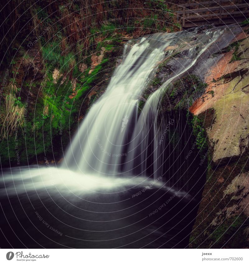 Over seven levels Nature Water Plant Canyon Brook Beautiful Soft Brown Green Black White Serene Idyll Calm Lierbach Square Colour photo Subdued colour