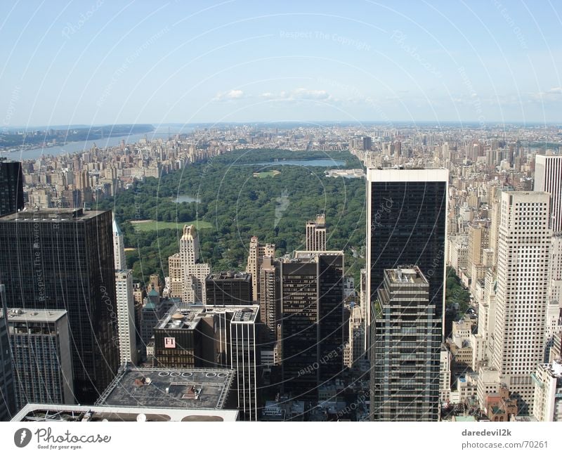 central park Park Green New York City Town High-rise House (Residential Structure) Americas Sky