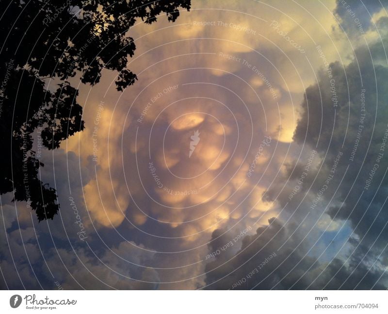 Storms I Weather Bad weather Wind Gale Rain Thunder and lightning Threat mammatus Clouds Cloud formation Cumulus Heaven Clouds in the sky Tornado Toronto