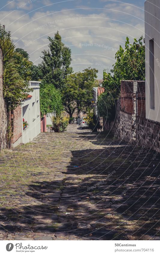 Paved streets in the old town of Colonia, Uruguay Vacation & Travel Tourism Trip Far-off places Sightseeing City trip Cruise Summer Summer vacation Tree colonia