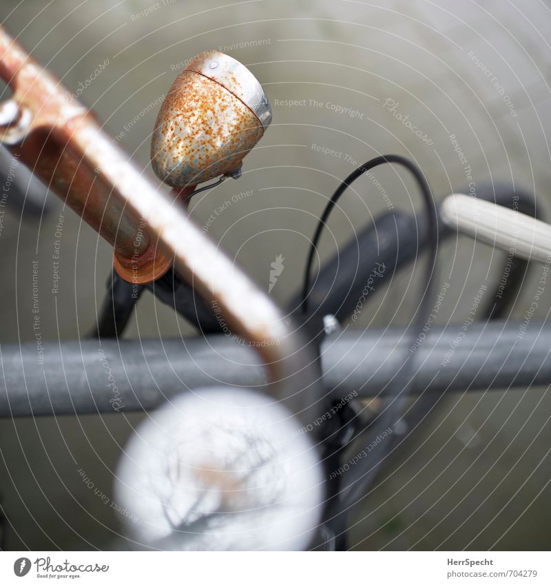 Radl | Details Antwerp Belgium Town Passenger traffic Cycling Vehicle Bicycle Metal Old Retro Trashy Brown Gray Nostalgia Transience Rust Bicycle handlebars