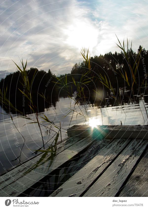 Crystal Lake Finland Footbridge Panorama (View) Clouds Forest Tree Waves Reflection Patch of light Wood Brittle Friday 13 Vacation & Travel Foliage plant