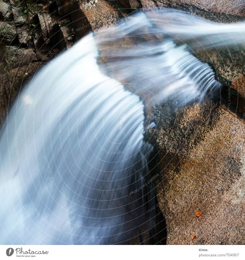 deafening silence Environment Nature Landscape Water Autumn Mountain Canyon Waterfall To fall Firm Fluid Wet Natural Passion Life Esthetic Movement Speed