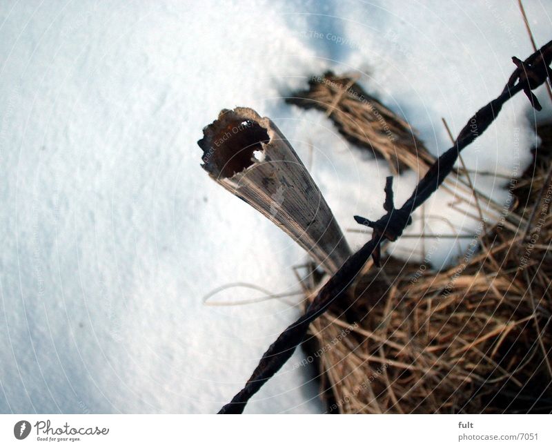 fence Fence Mountain Bamboo stick Snow