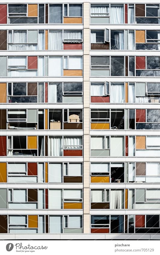 patchwork carpet Town House (Residential Structure) Architecture Facade Window Multicoloured Living or residing Wellington New Zealand Colour photo