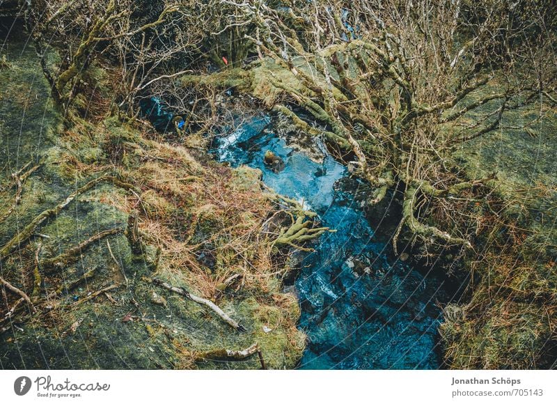 Isle of Skye IV Environment Nature Landscape Plant Moss Forest Virgin forest Esthetic Bizarre Surrealism Blue Green Brook Water Scotland Highlands Contrast