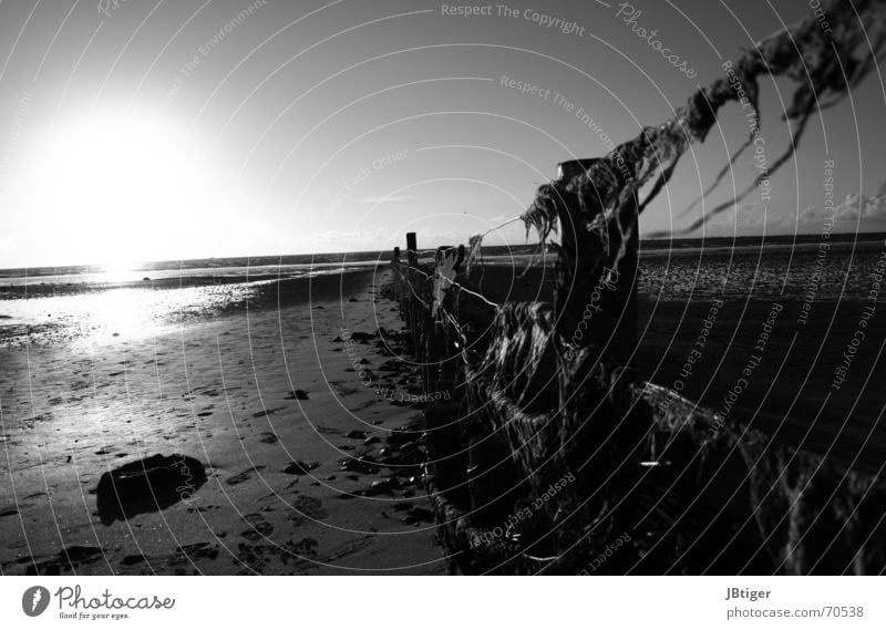 A breeze of seaweed and freedom Beach Ocean Sunset Fence Pole Low tide Algae Footprint Loneliness Calm Wire Exterior shot Black & white photo North Sea