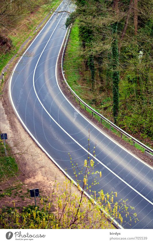 street to nowhere Spring Tree Forest Street Curve Blossoming Esthetic Elegant Long Positive Nature Logistics Lanes & trails Line Asphalt Colour photo