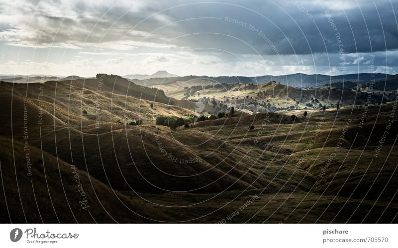 Shortly before rain Nature Landscape Clouds Bad weather Rain Hill Dark Beautiful Adventure Vacation & Travel New Zealand Colour photo Exterior shot