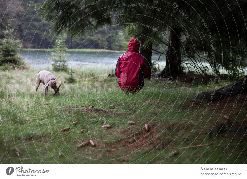 downpour Lifestyle Harmonious Relaxation Calm Meditation Trip Hiking Human being Woman Adults 1 Nature Water Bad weather Rain Tree Meadow Forest Lake