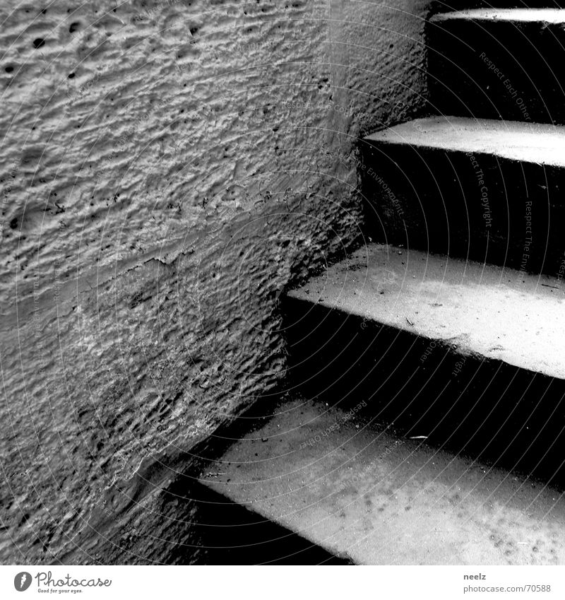 up and down Cellar Ascending Wall (building) Stairs Upward Downward Cellar stairs