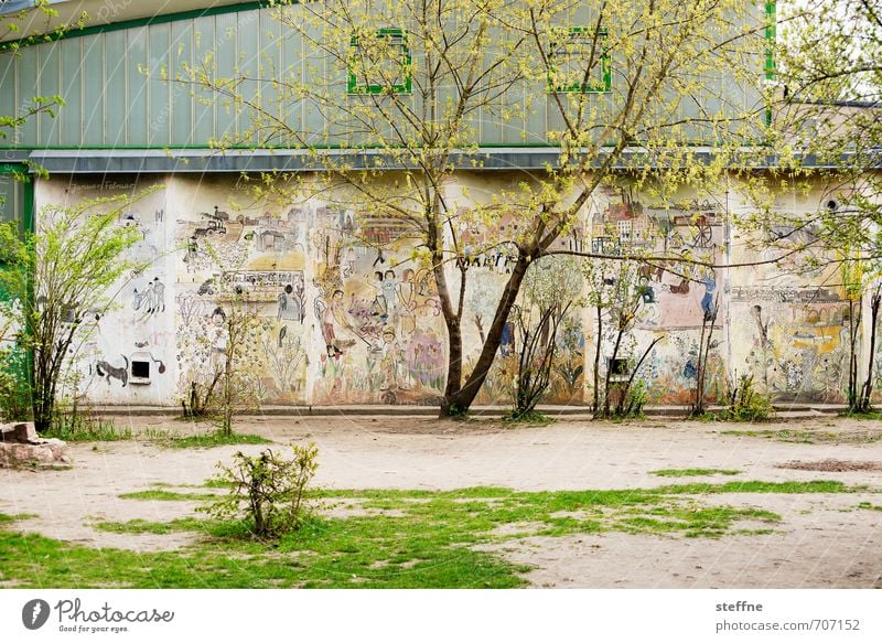 HALLE/S.-TOUR | sportHALLE Spring Tree Halle (Saale) Town Facade Beautiful School Gymnasium Graffiti Meadow Multicoloured Colour photo Exterior shot