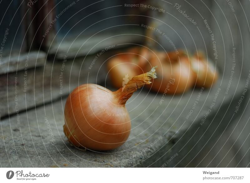 onion fish Onion Vegetable Autumn Healthy Eating Organic produce Shallow depth of field Window board Simple Lie Deserted Wooden window Old Brownish Foreground