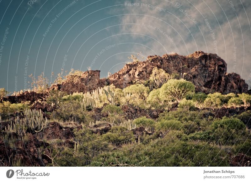 San Andrés / Tenerife XXXI Environment Nature Landscape Plant Bushes Rock Mountain Peak Island Esthetic Desert Desert plant Spain Canaries South