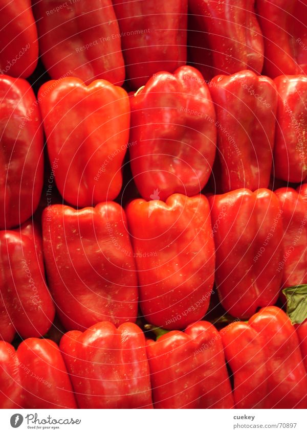 View into the fridge Pepper Red 19 Glittering Vegetarian diet stacked bend paprika mountain Row Nutrition Vegetable Stack