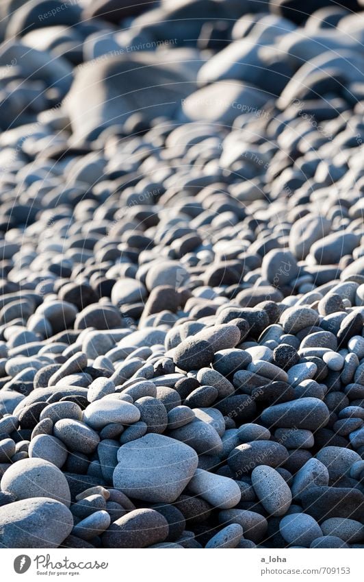 Stones. Beach. Nature Landscape Elements Coast Gray Stress Uniqueness Arrangement Stagnating Attachment New Zealand North Island Cape Egmont Colour photo