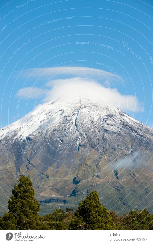 wanderlust Environment Nature Landscape Plant Elements Air Sky Clouds Autumn Beautiful weather Ice Frost Tree Grass Mountain Peak Snowcapped peak Volcano