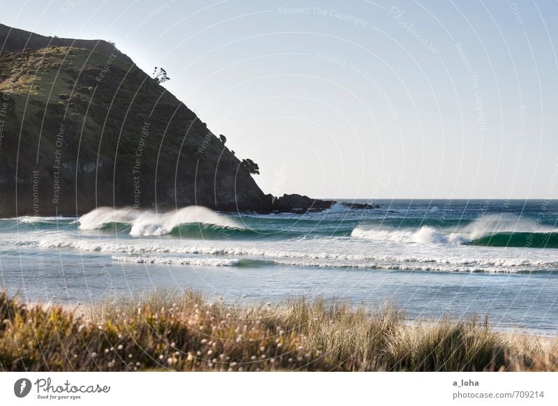 far north Environment Nature Landscape Plant Elements Water Cloudless sky Horizon Summer Beautiful weather Warmth Grass Waves Coast Beach Ocean Natural Blue