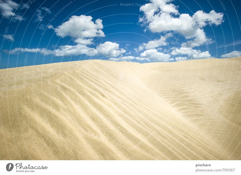 sandy Landscape Sand Sky Clouds Beautiful weather Desert Gloomy Dry Adventure New Zealand Dune Colour photo Exterior shot Deserted Day Sunlight