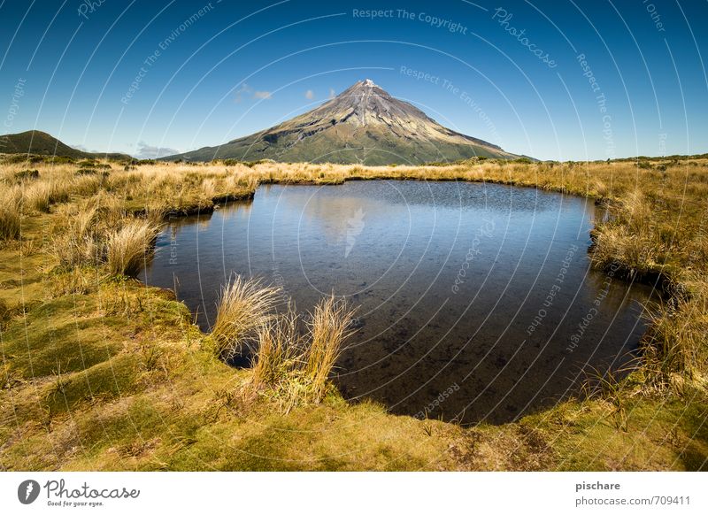 Mt. Taranaki Nature Landscape Water Cloudless sky Beautiful weather Bushes Moss Volcano Bog Marsh Pond Exceptional Exotic Gigantic Adventure Vacation & Travel