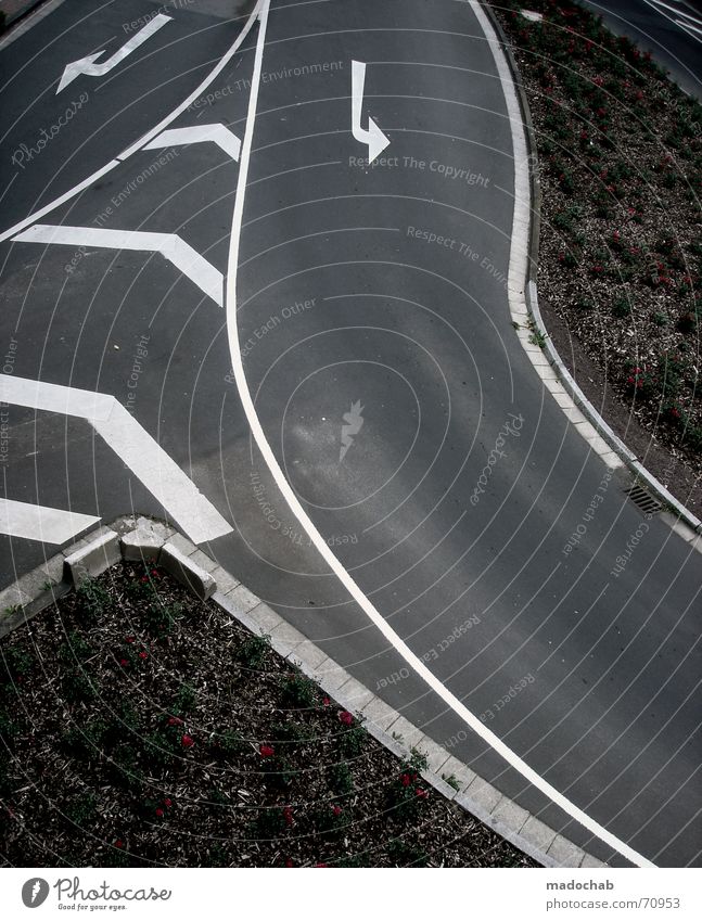 DROP OUT! | street arrows traffic marking pattern abstract Asphalt Turn off Transport Left Flower Nature Gray Under Pedestrian Gloomy Pattern Background picture